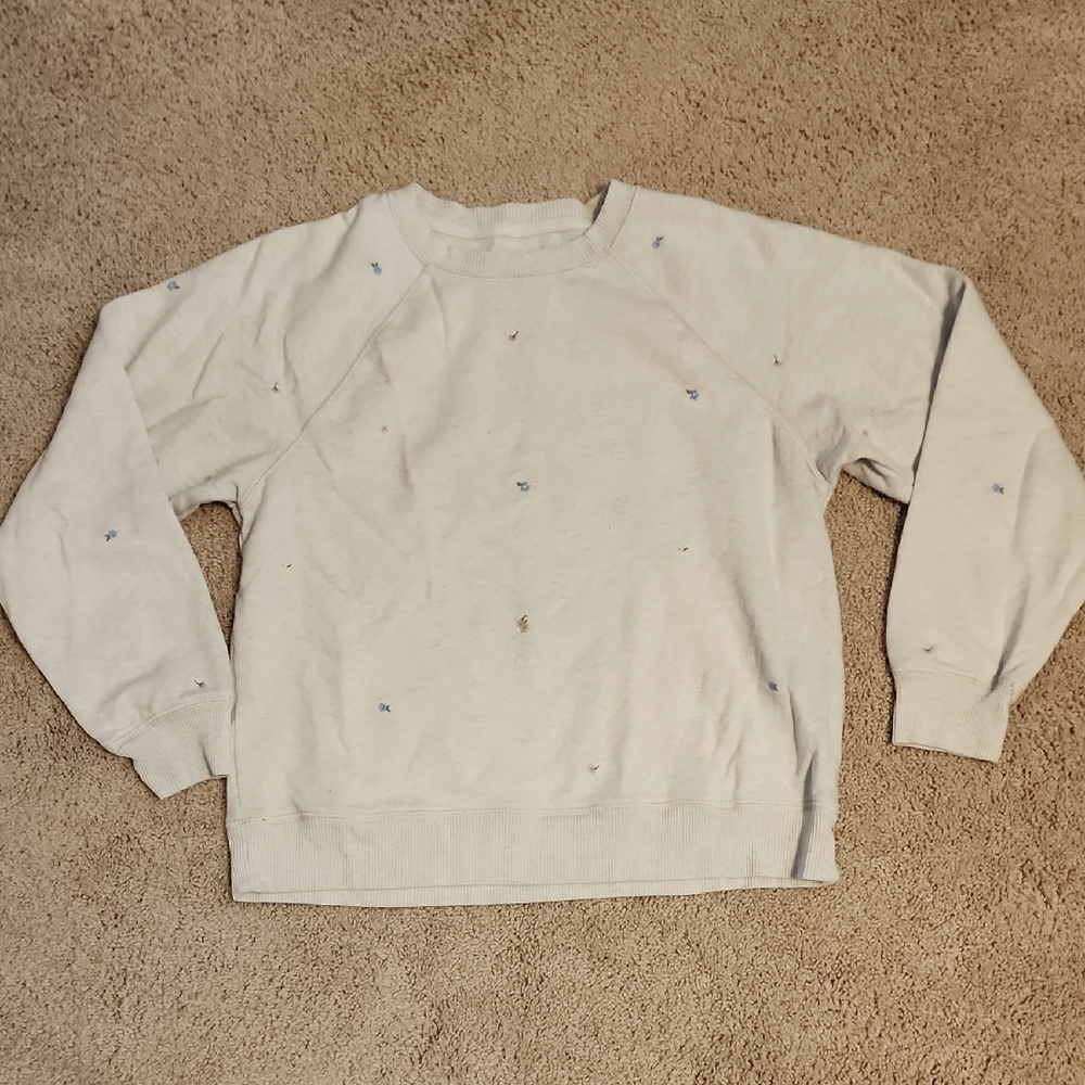 American Eagle Outfitters Light Gray Crewneck Sweater